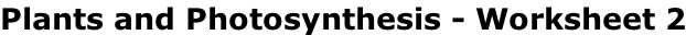 Plants and Photosynthesis - Worksheet 2