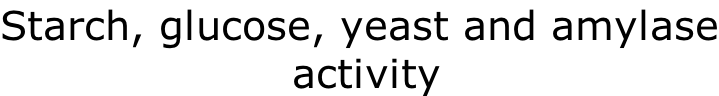 Starch, glucose, yeast and amylase  activity